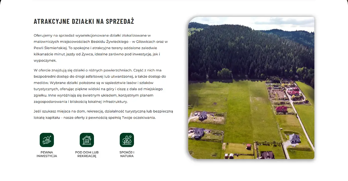 Strona internetowa restauracji Adona - Layout