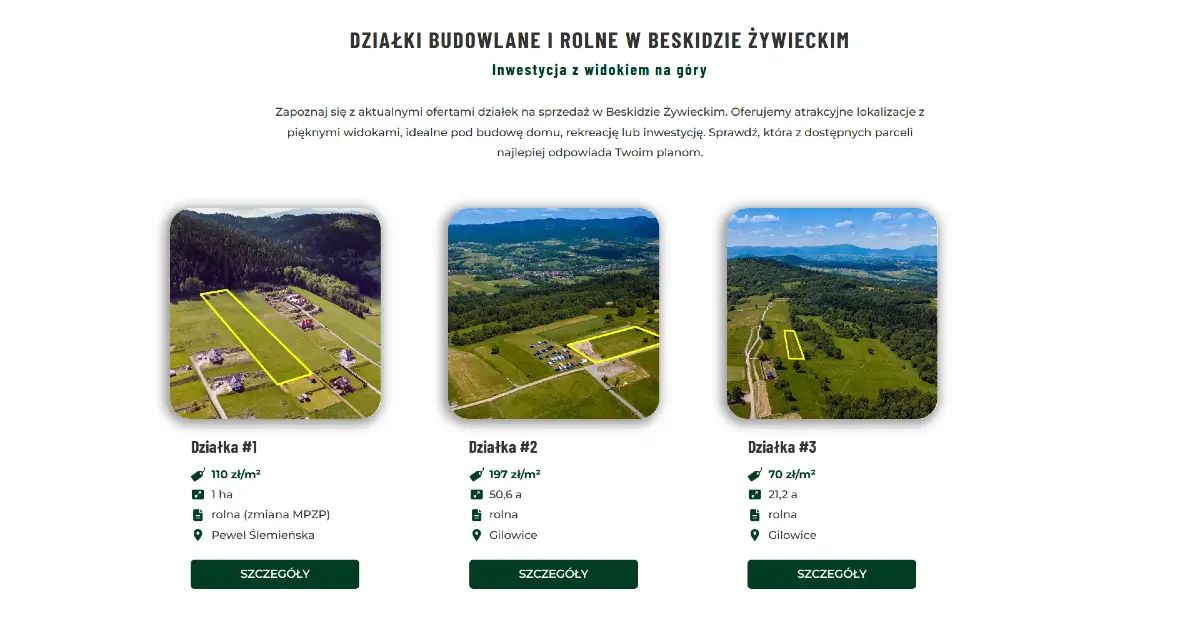 Strona internetowa restauracji Adona - Layout